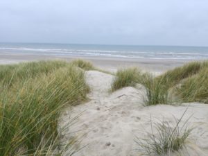 Duinen bij de Slufter