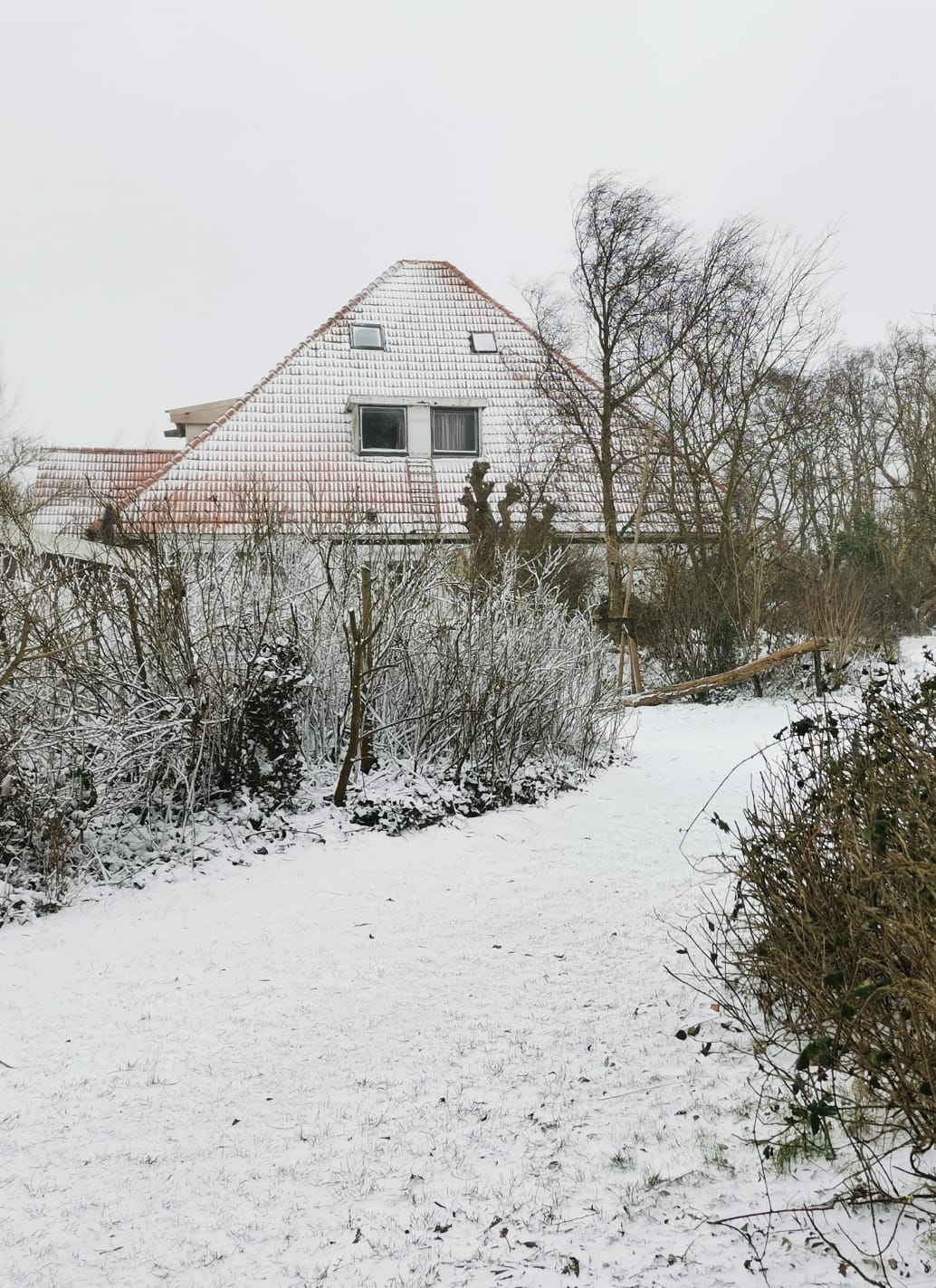 De Heerlijkheid in de winter